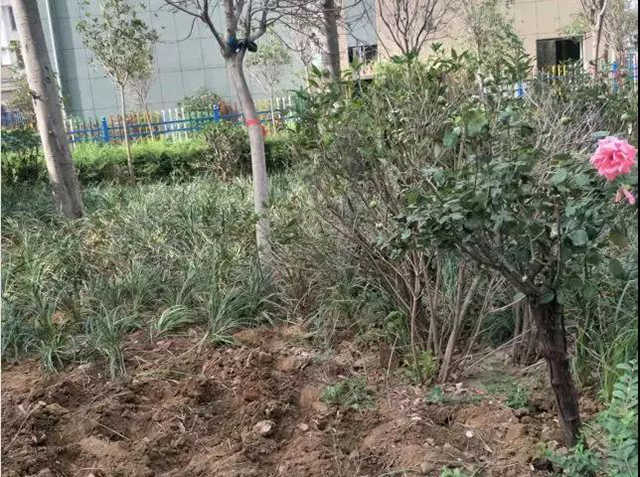 &#24320;&#20113;&#40;&#20013;&#22269;&#41;&#75;&#97;&#105;&#121;&#117;&#110;